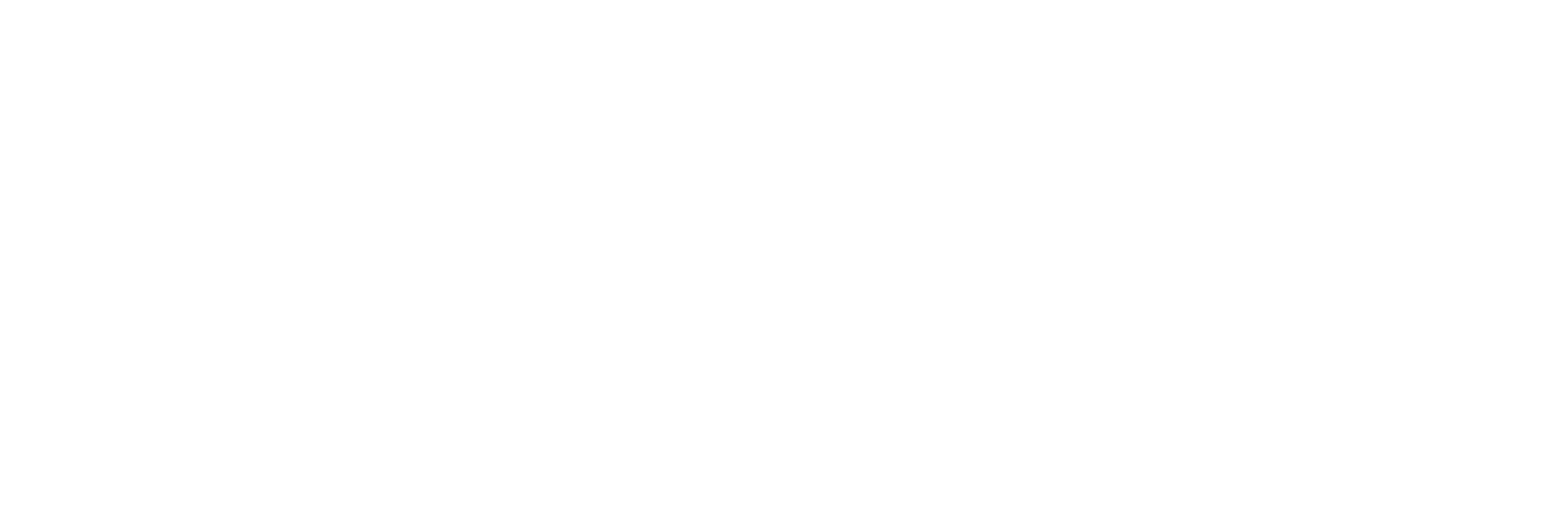 Runpet